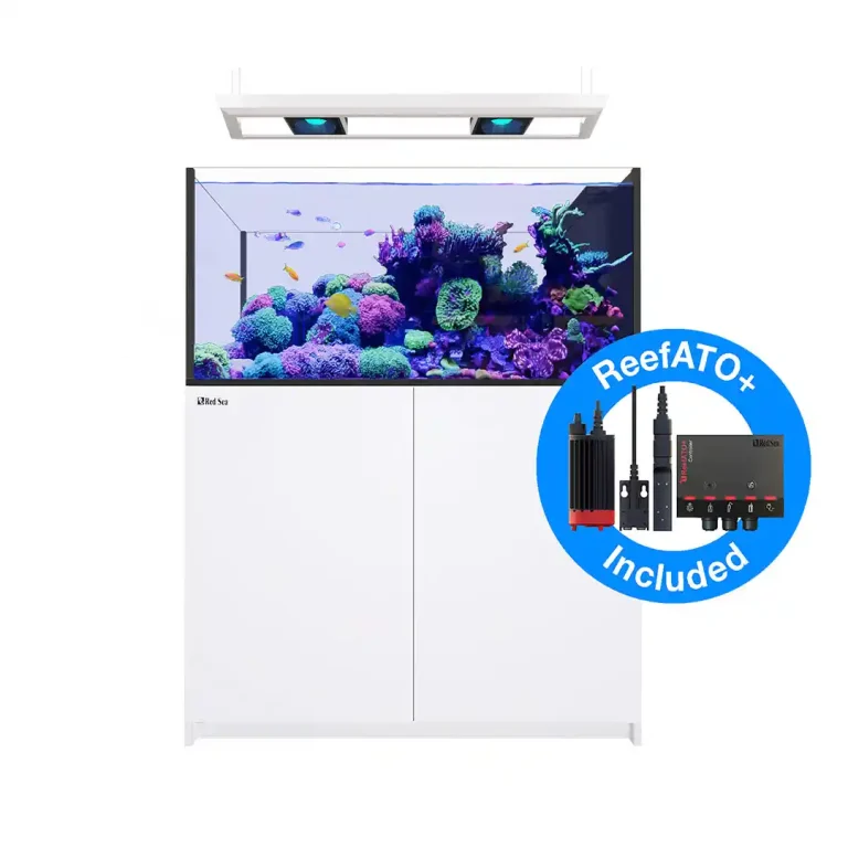 REEFER Peninsula 500 G3 Deluxe - White (incl. 2 X RL170 & pendant) Red Sea Aquarium