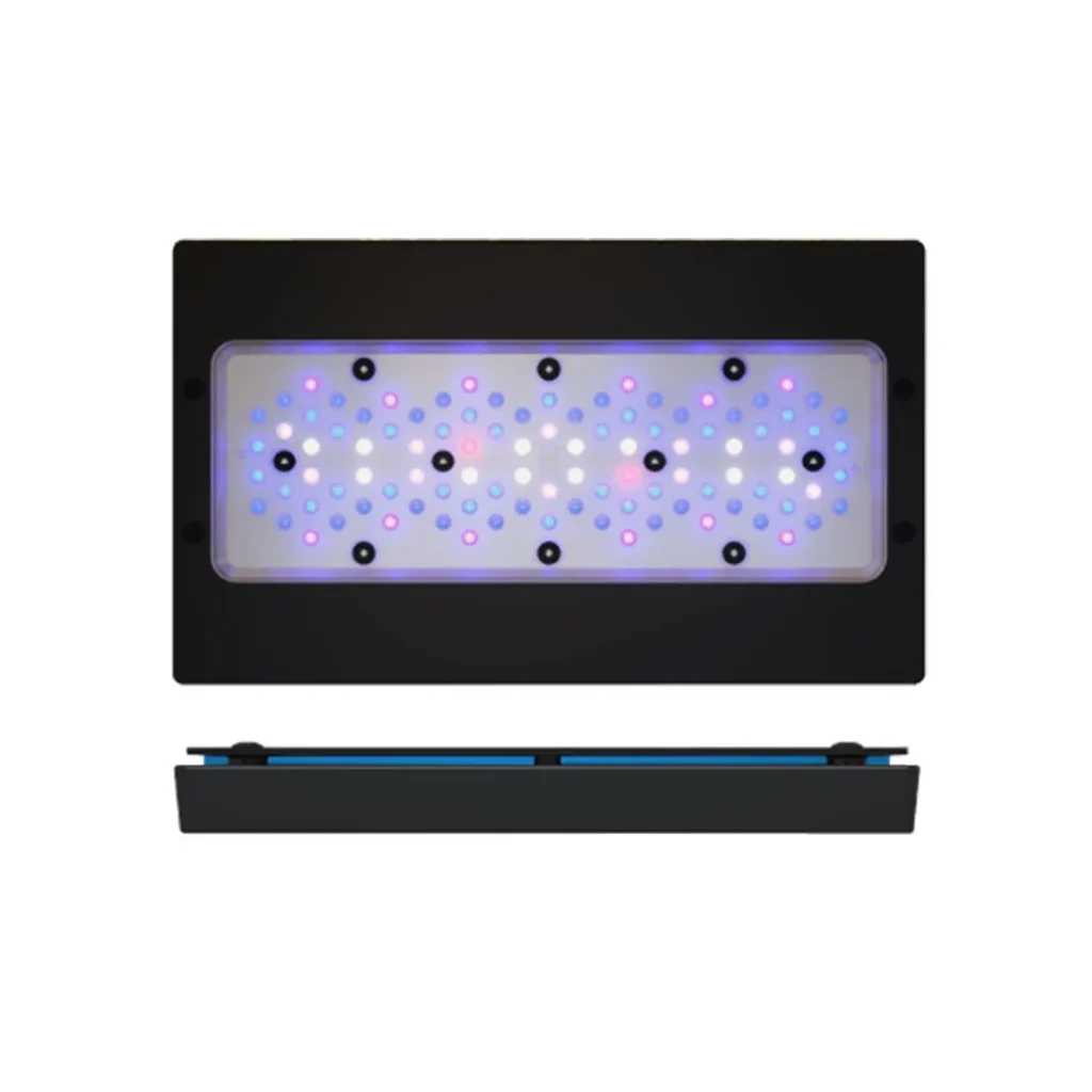 Radion XR30G6 BLUE Led - EcoTech