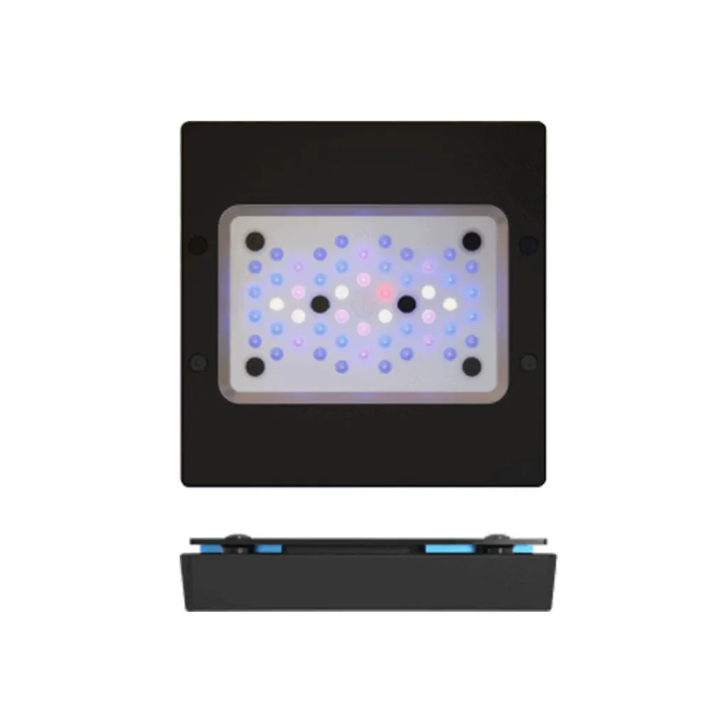 Radion XR15G6 BLUE Led - EcoTech