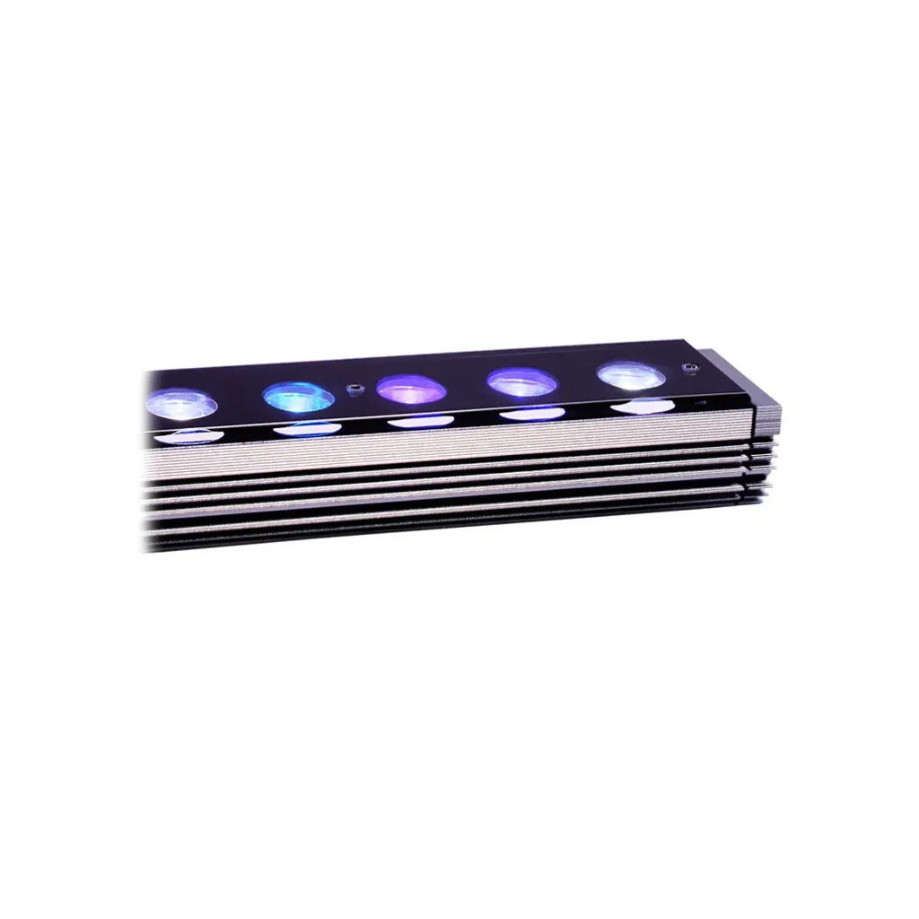 OR4 iCon Reef Day Plus